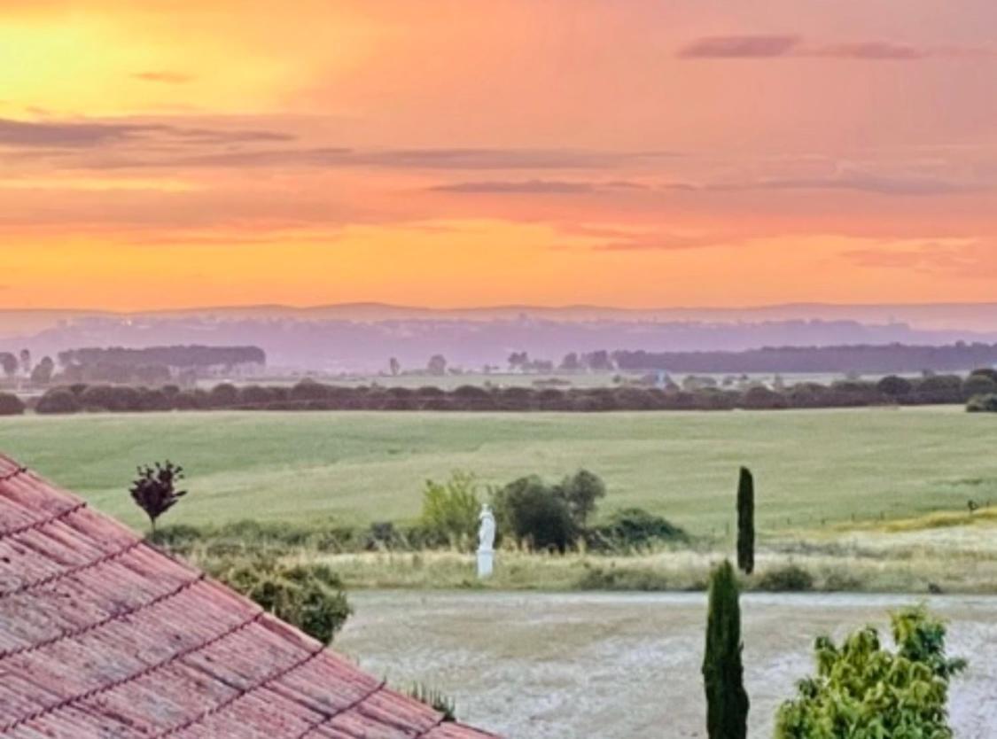 Herdade De Santa Maria Almeirim Eksteriør bilde