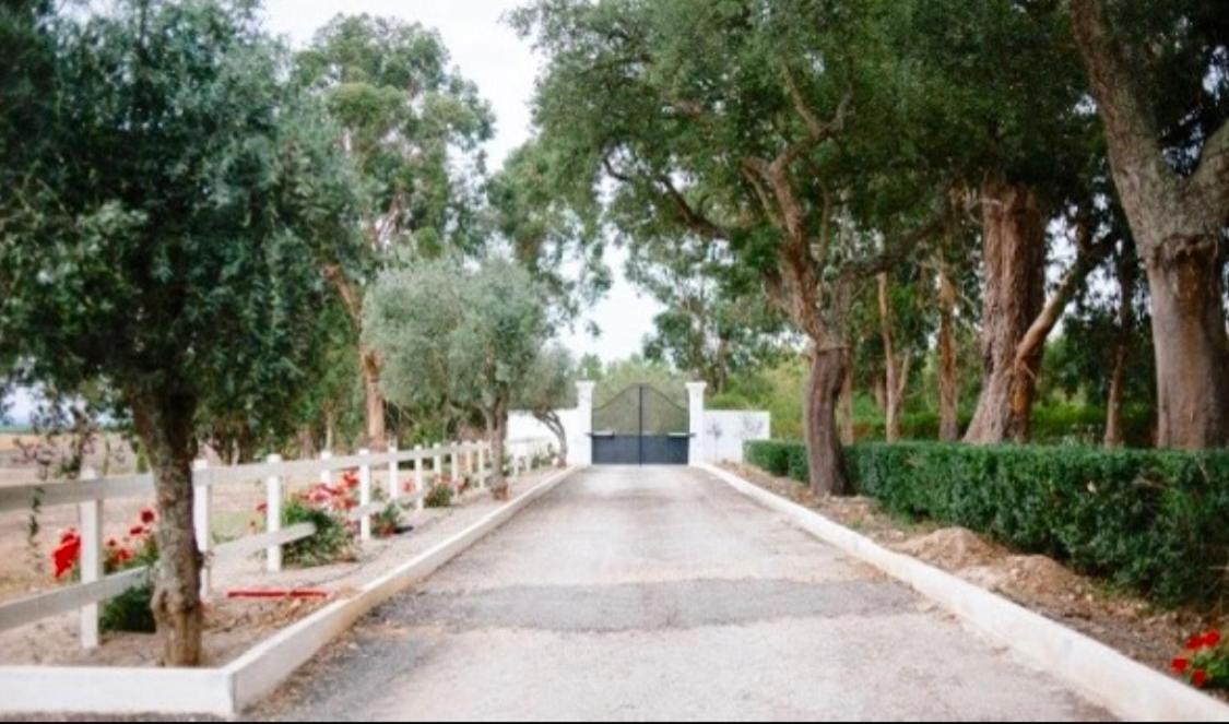 Herdade De Santa Maria Almeirim Eksteriør bilde