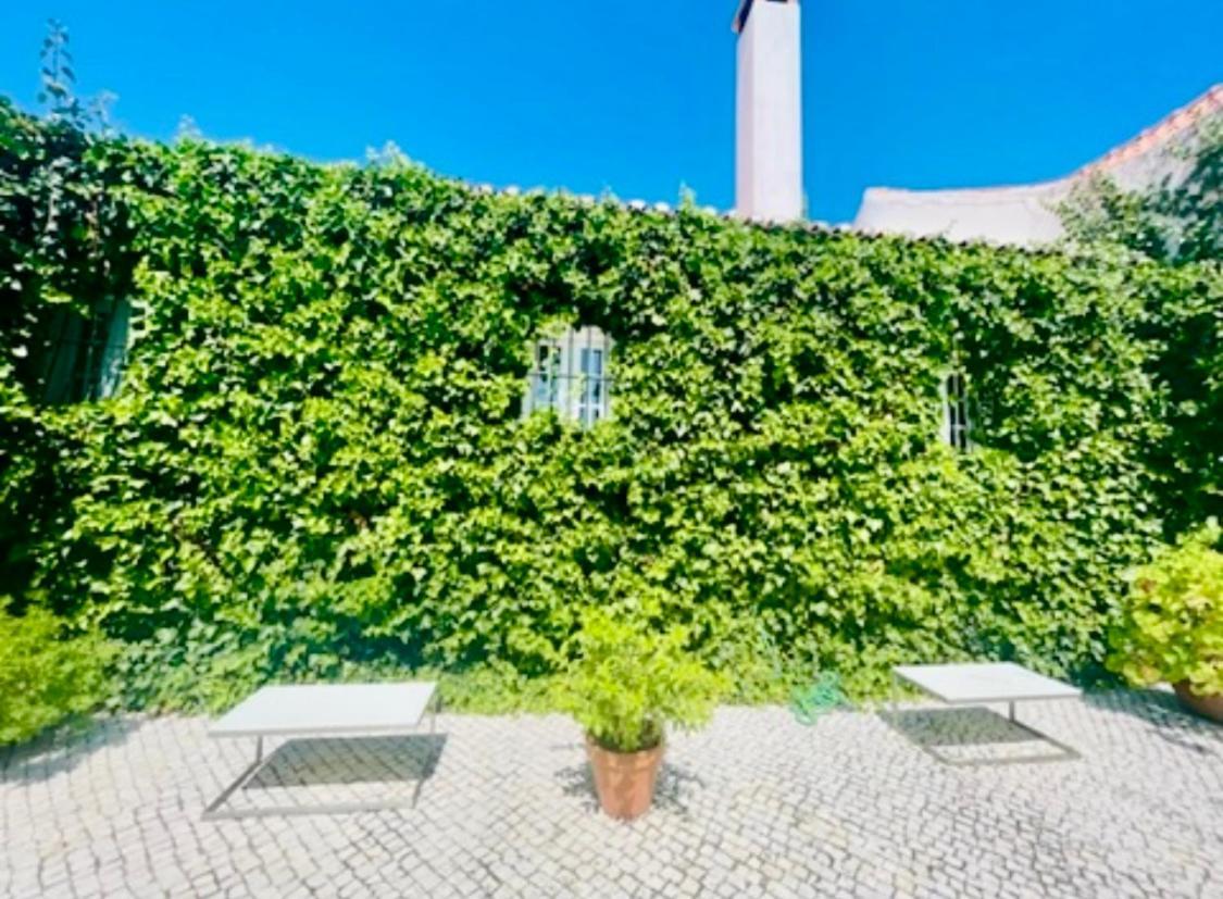 Herdade De Santa Maria Almeirim Eksteriør bilde