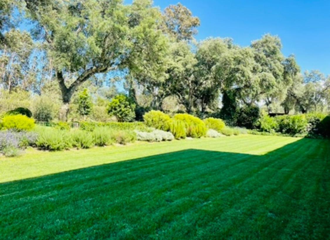 Herdade De Santa Maria Almeirim Eksteriør bilde